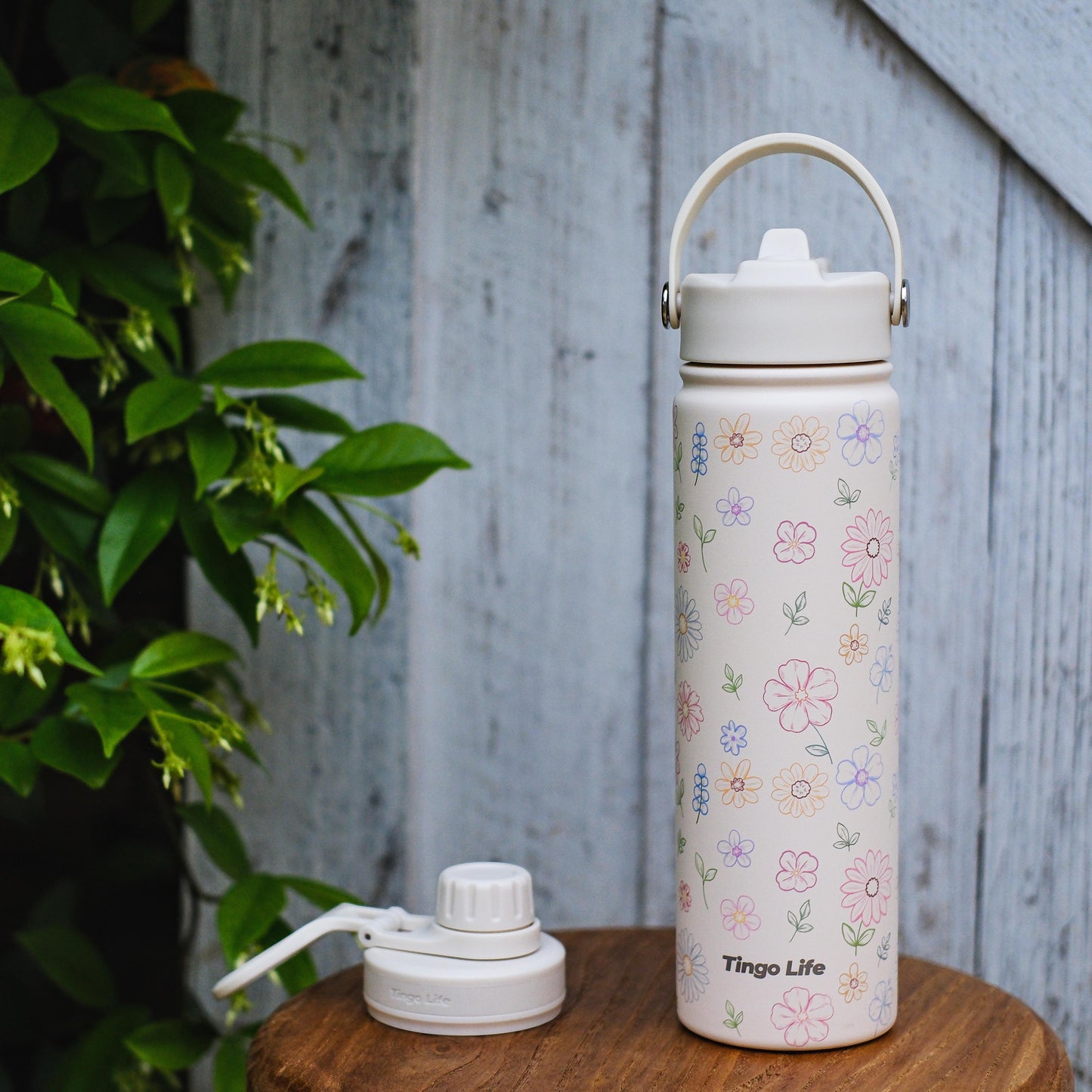 Tingo Life 25oz/750ml Insulated Stainless steel water bottle - Flower Design