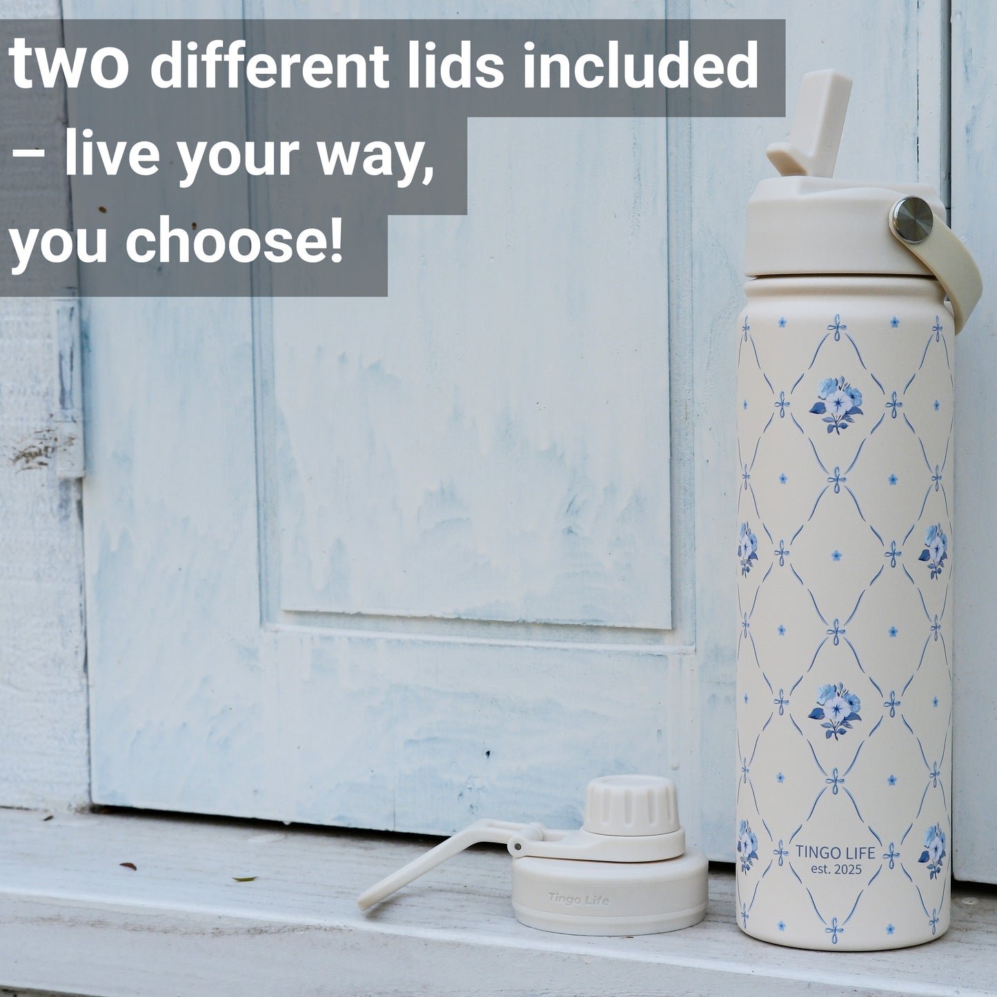Tingo Life 25oz/750ml Insulated Stainless steel water bottle - Vintage Chinoiserie floral Design